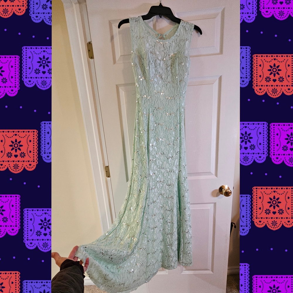 Elegant Mint Green Lace Evening Gown size Small
